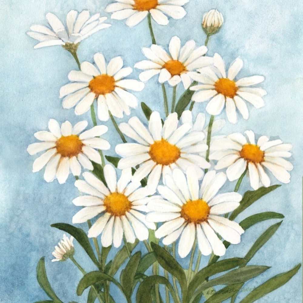 Meet your Posher, Carol